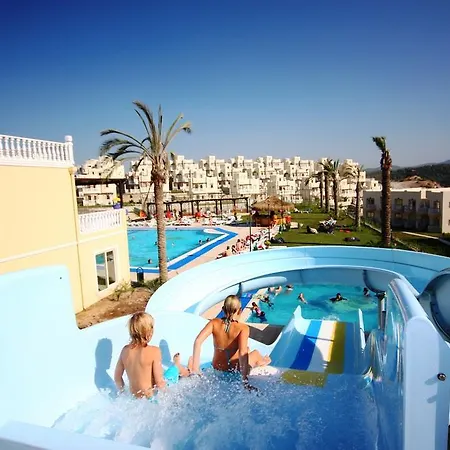Evoteli Group Turquoise *