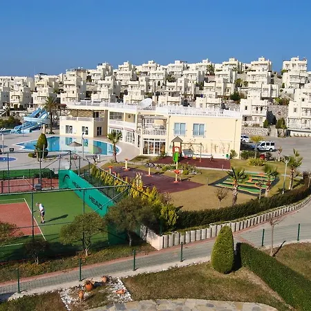 Evoteli Group Turquoise